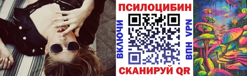 Псилоцибиновые грибы Psilocybe купить Таштагол